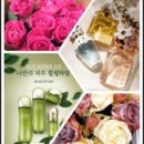 쎄니떼.화장품.향수