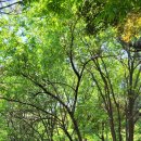 호반 정원 이미지