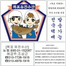 [6월3일] 하모(회,샤브)+성게알+고노와다,목포홍어,활전복,뻘낙지,바지락살 이미지