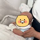 호현로474번길 네이버블로그