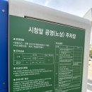 페티포티 이미지