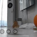 살구팩토리 이미지