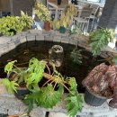 커피랩 지앤지점 이미지