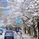 춘천소양강댐 입구 주차장 이미지