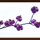 한진목장 이미지