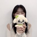 참치오빠
