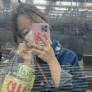 피컵요거트