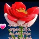 100세의료기 이미지