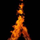 주원장한의원 이미지