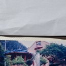 차량골농원 Daum카페