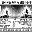 (주)레인보우프로젝트(연산지점) | 260803 로니의 국장 마감시황