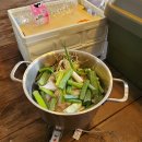 나린오토캠핑장 이미지