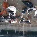 경기농장 이미지