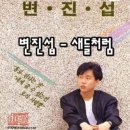 새들처럼 - 변진섭 이미지