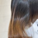 기아클리닉영양점 | 벨라뷰티룸헤어 시세이도 모발풀케어, 헤드스파 받고온 후기