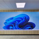 선덕여자고등학교 이미지