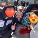 초리골펜션 | 2월까지 운영한다는 서울근교 초리골눈썰매장 5살 방문후기
