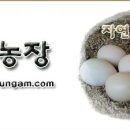 응암1-001 이미지