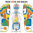 뷰티죤 - 금정구 팔송로 7 | 뷰티죤