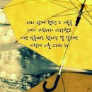 단비네 이미지