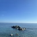 피브밀카페 | 가을 당일치기 죽변 기차 여행 (바다 보이는 기차 좌석 / 맛집 / 카페 / 이동수단)