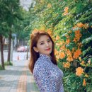 파워포인트 활용 이미지