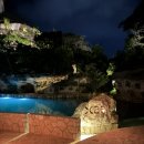 시도 | 스칼렛아르떼식당-아레날,히든바,XAAK(쟈크),타시도 후기 + 예약방법