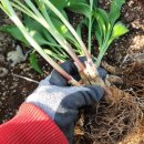 솔방울민박 이미지