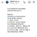 영화제다니는 사람들 이미지