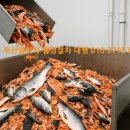 해양수산전문행정사 이미지