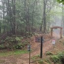 초지마트 - 안산시 단원구 신촌6길 29 | 초지마트