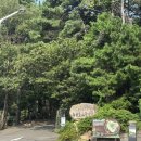 장안새벽집 | 부산 등산코스 추천) 기장 달음산가서 흠뻑쇼 찍고 왔던 첫 여름 등산 후기