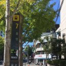 중앙동140 | 부산 중앙동·남포동 네일샵 와이네일 | 가을 감성 호피 젤네일 후기