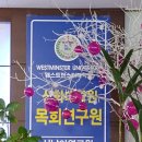 양강중학교 앞 이미지