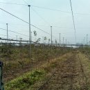 여주-0833 Daum카페