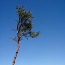 혜진농장 이미지