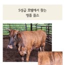 우소농장 이미지