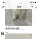 멍테소리 이미지