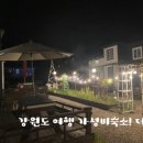 양양 더 하루 펜션 이미지