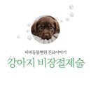 비바동물병원 이미지