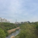 천화당한의원 이미지