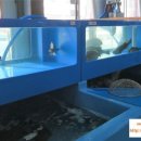 (주)화도수산 - 330420 | (주)화도수산