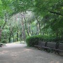삼청공원 정문 Daum카페