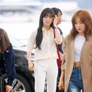 레드벨벳 카카오 검색결과