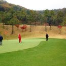 코스카cc 이미지