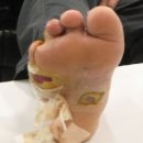 녹심