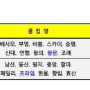 제21회 순천시 생활체육대축전 Daum카페