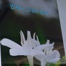 프레그런스커피 이미지
