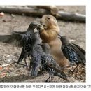 모이 - 용산구 한남대로18길 34 | 모이