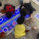 상대곡 농장 | (1月) 해가 뜨면 굳은 날개를 펼쳐 자유롭게 날아올라໒꒱